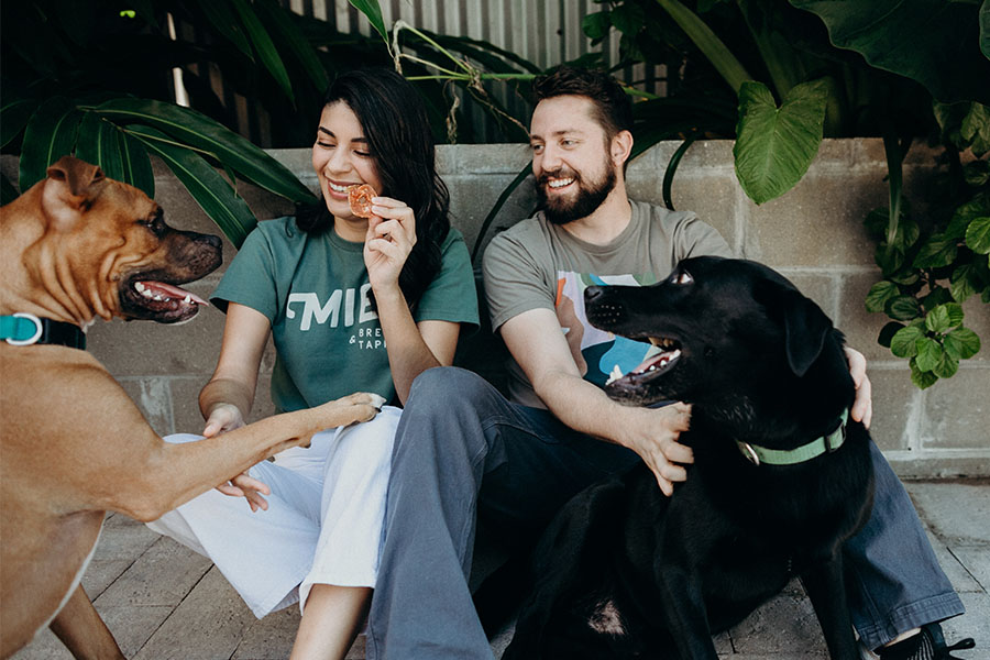 Janice and Alex playing with their dogs, Oso and...