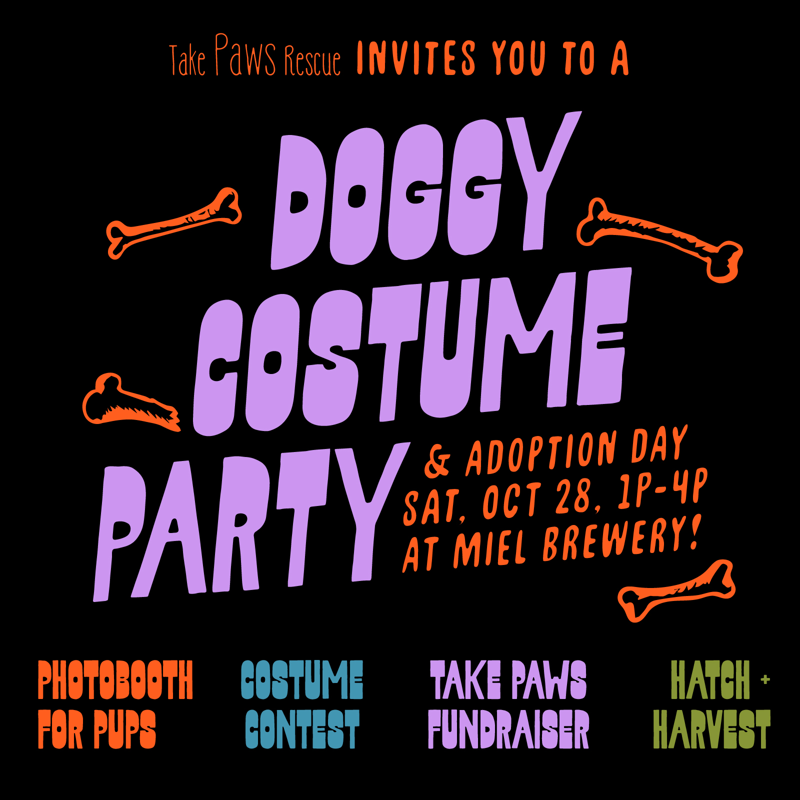 Flyer for the Doggy Costume Party