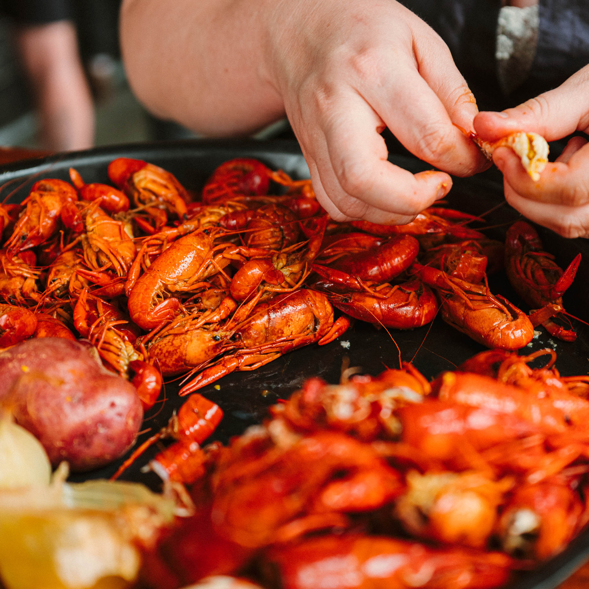 Hands peeling Mais La Seafood crawfish trays at Miel Brewery