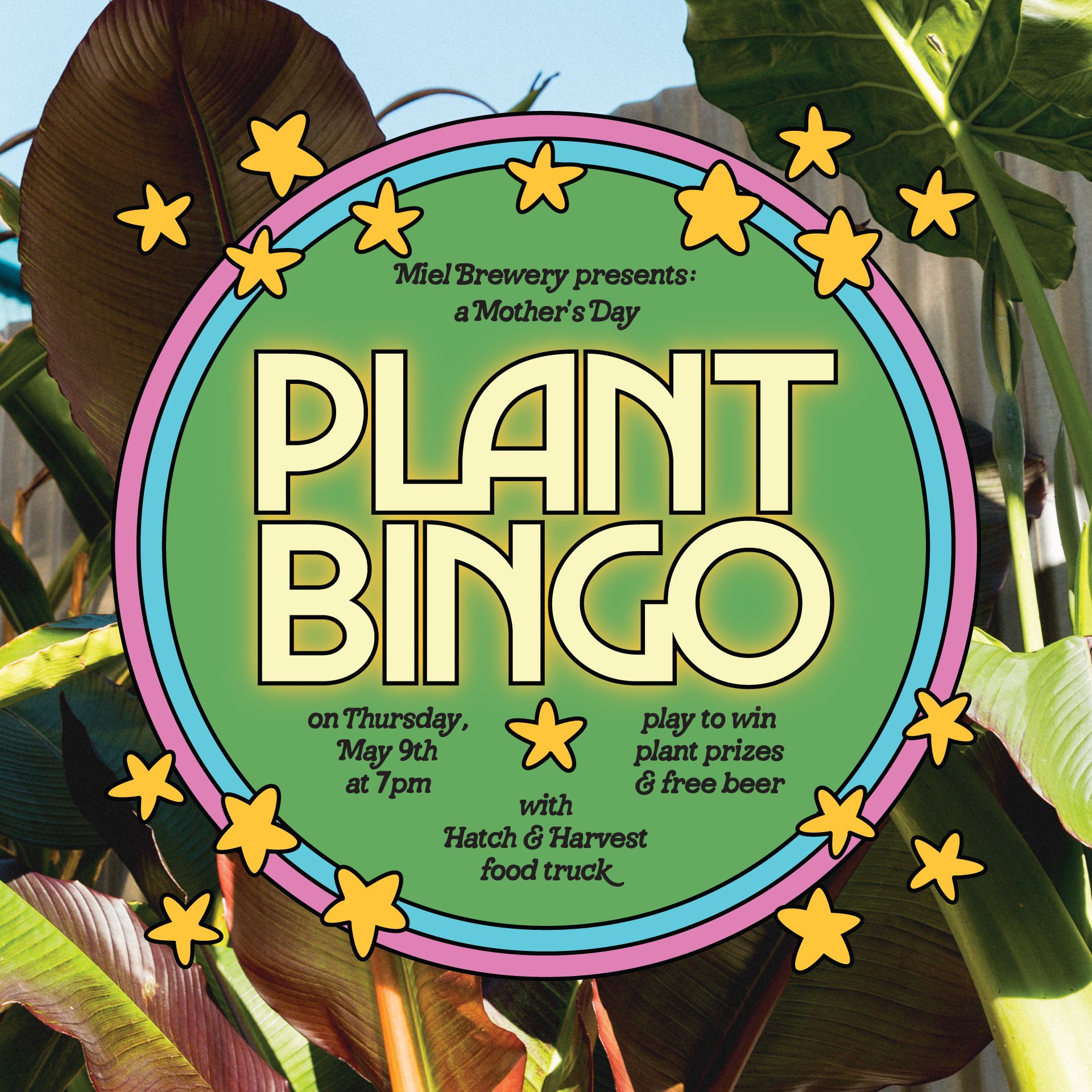 Plant Bingo at Miel Brewery