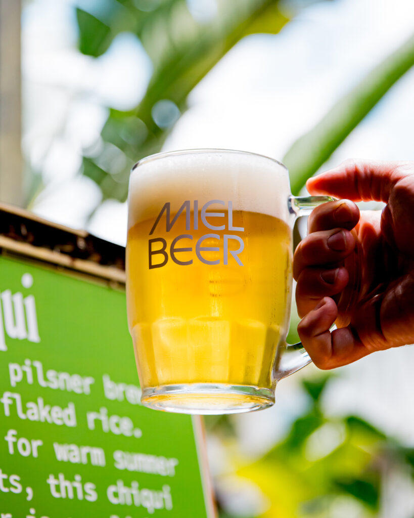 Chiqui light pilsner in a Miel beer stein.jpg