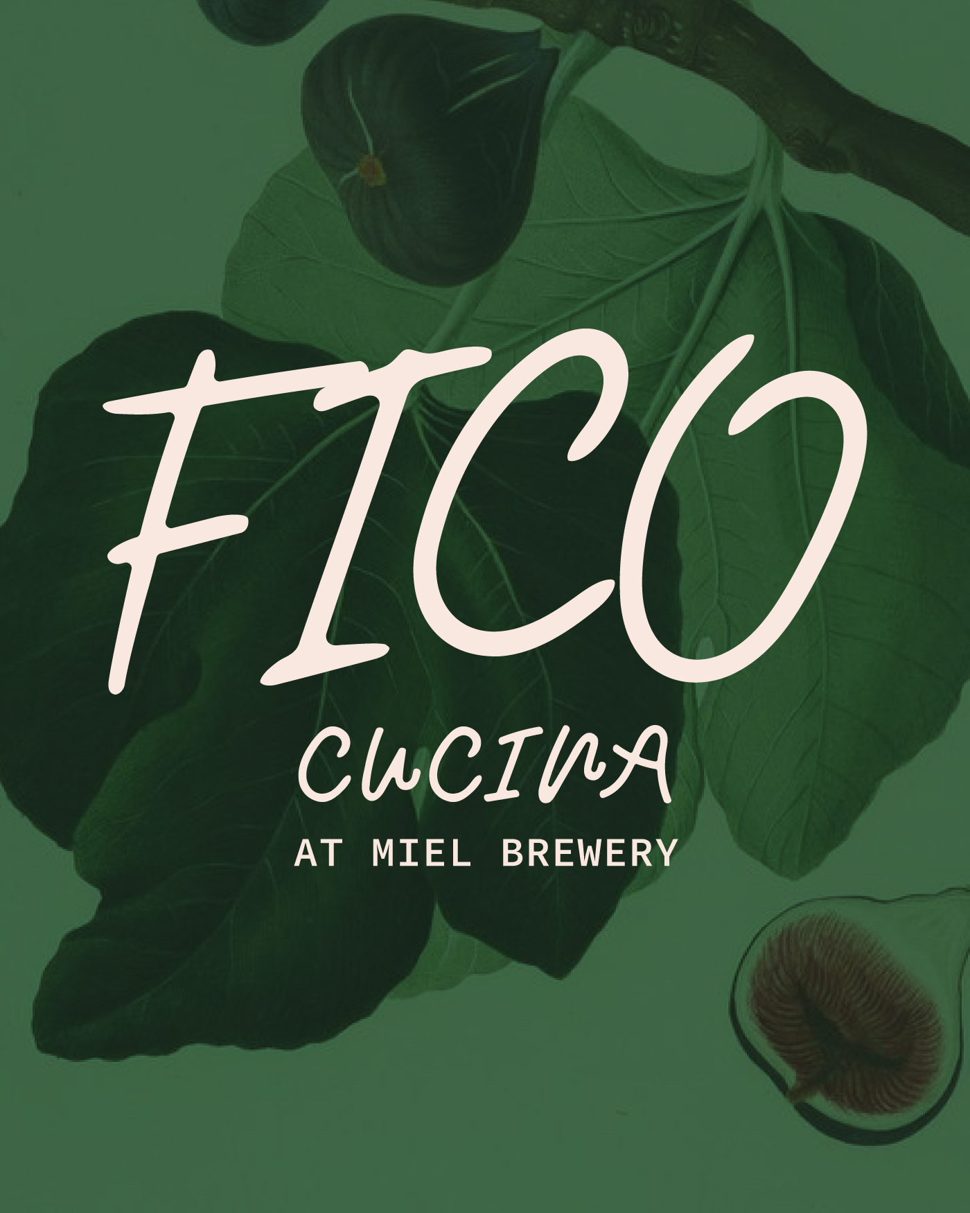 Fico Cucina pop-up at Miel Logo